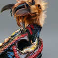 CABALLITO DE MAR — frontal