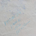Pitiusas 229 — frontal