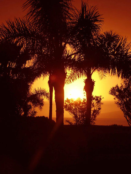 Puesta del Sol VI
