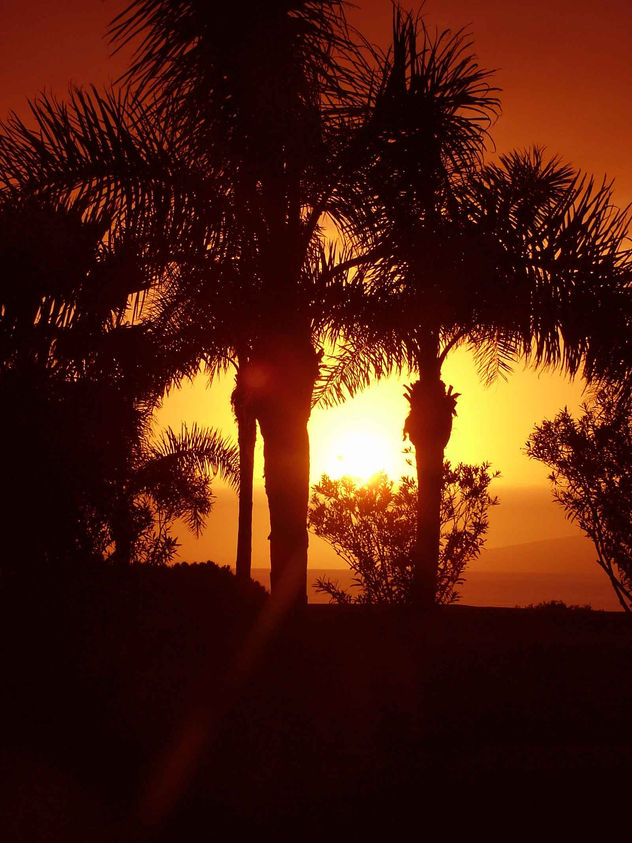Puesta del Sol VI