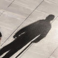 La sombra alargada — detalle