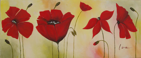 Amapolas