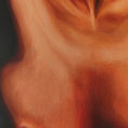 Desnudo — detalle
