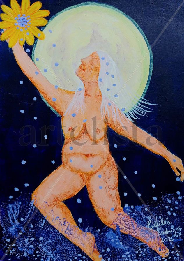 Venus 5  Vuelo nocturno