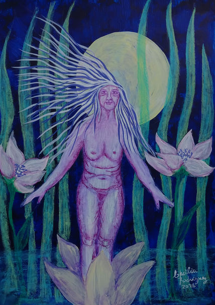 Venus 12...