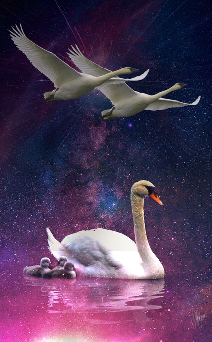 El vuelo