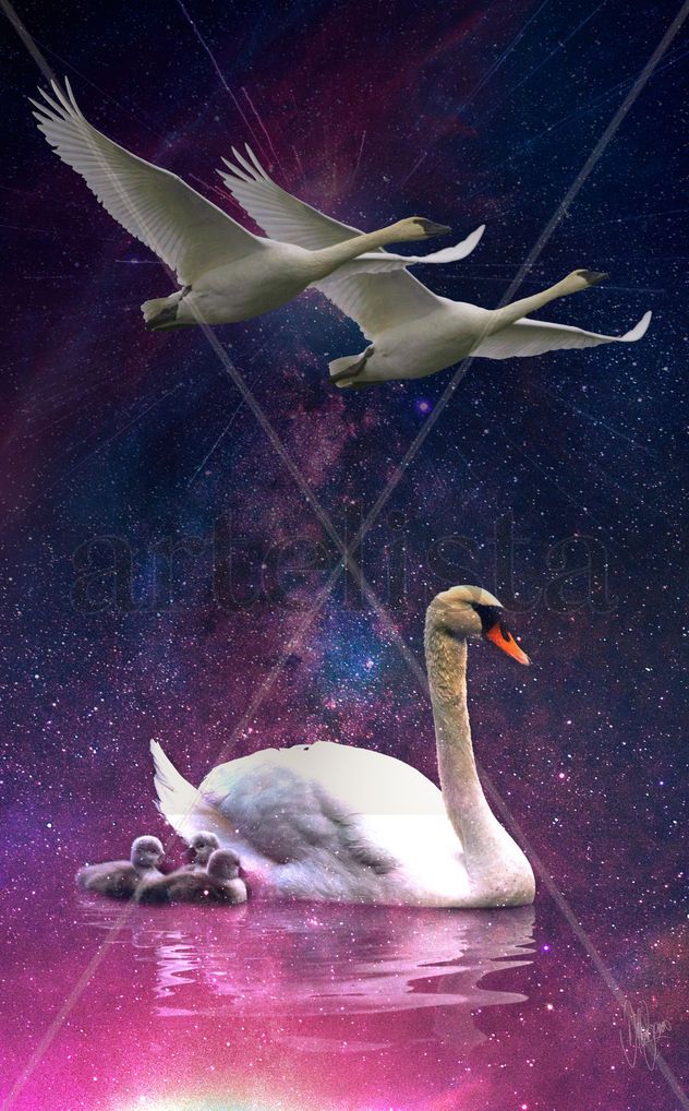 EL VUELO