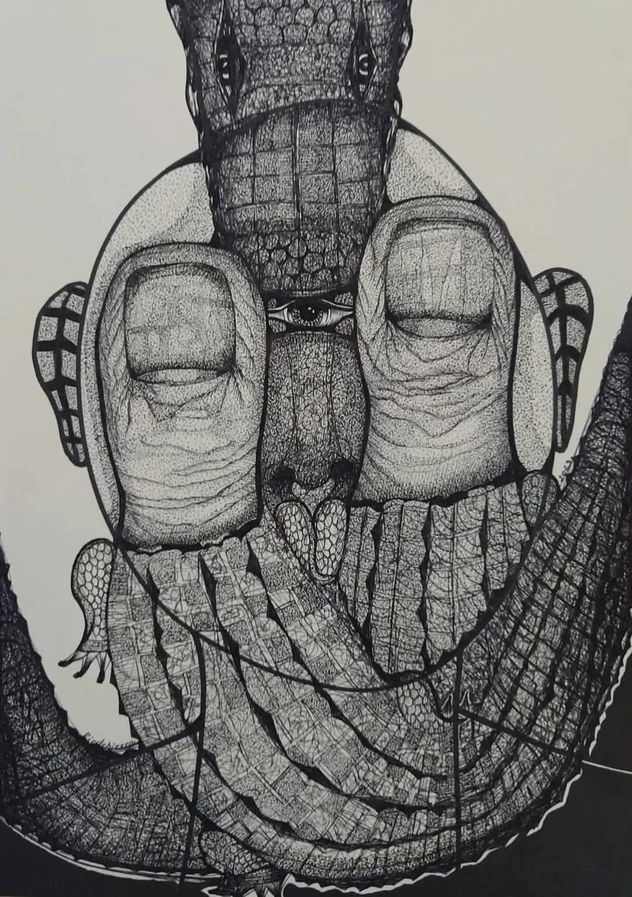 COCODRILOS 1