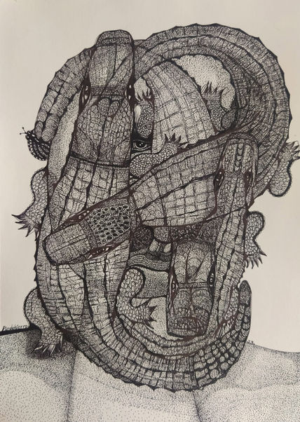 Cocodrilos 3