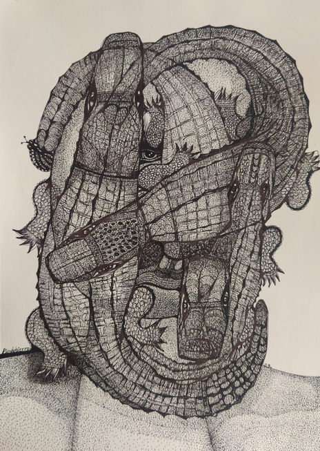 Cocodrilos 3