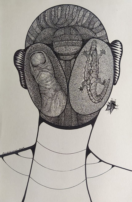 Cocodrilos 9