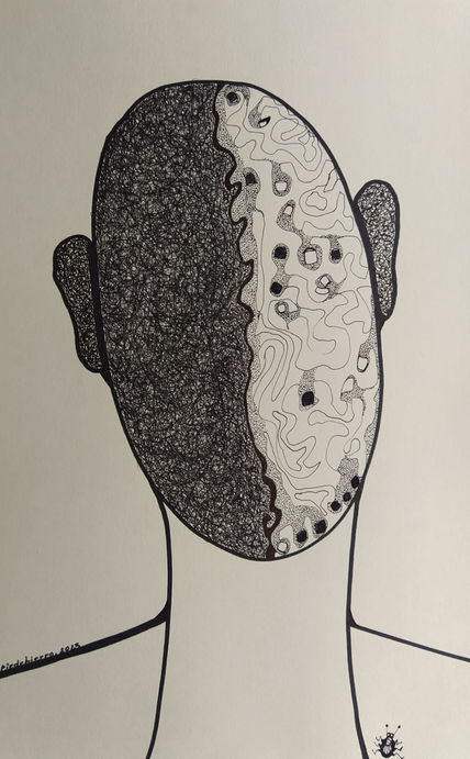 Cocodrilos 11