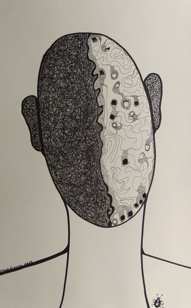 COCODRILOS 11