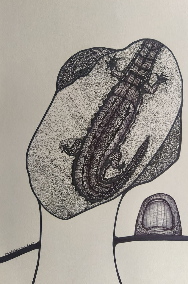 COCODRILOS 13