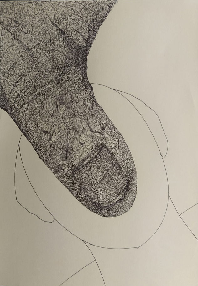 COCODRILOS 16