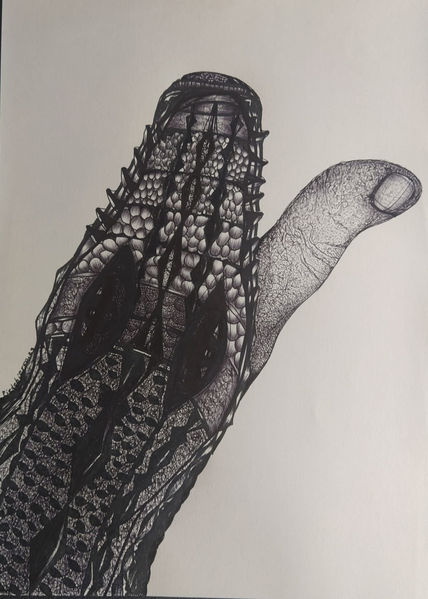 Cocodrilos 17