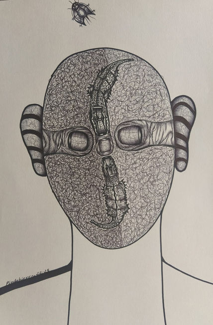 Cocodrilos 22
