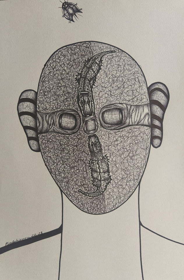 COCODRILOS 22