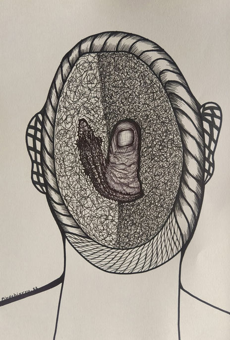 Cocodrilos 24
