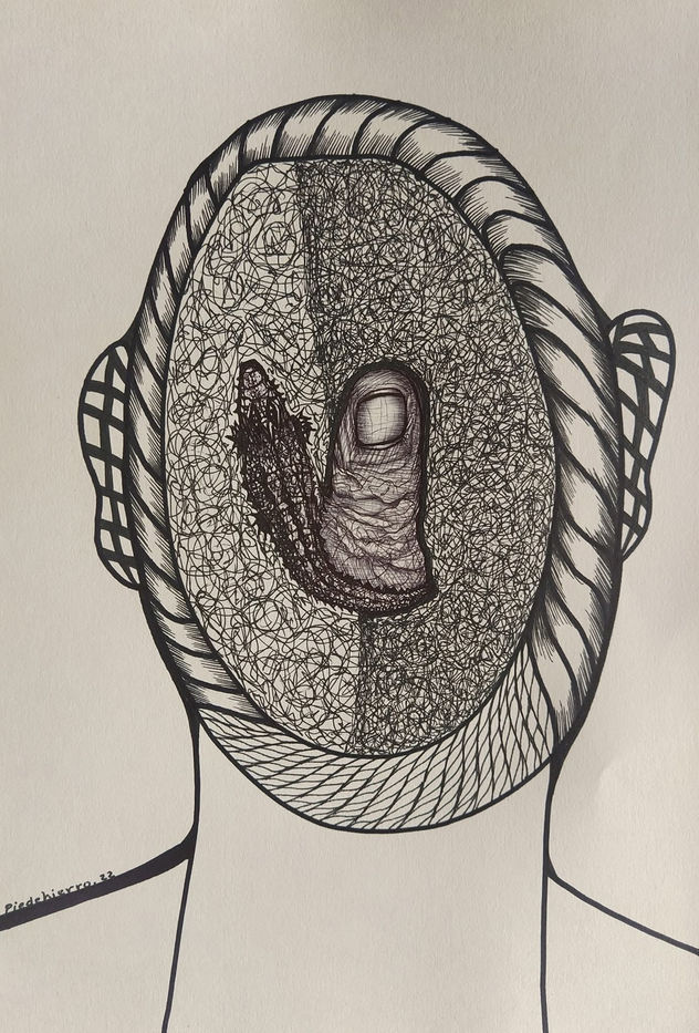 COCODRILOS 24