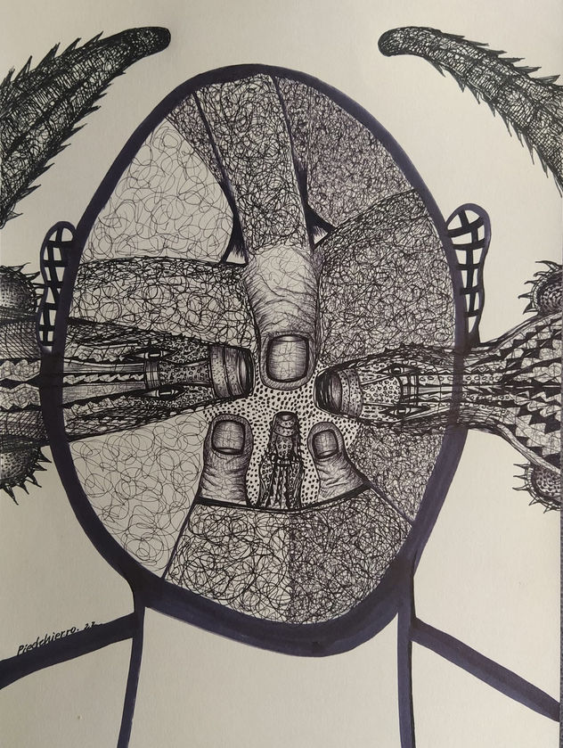 COCODRILOS 26