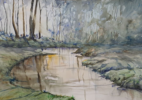 Naaturaleza 51