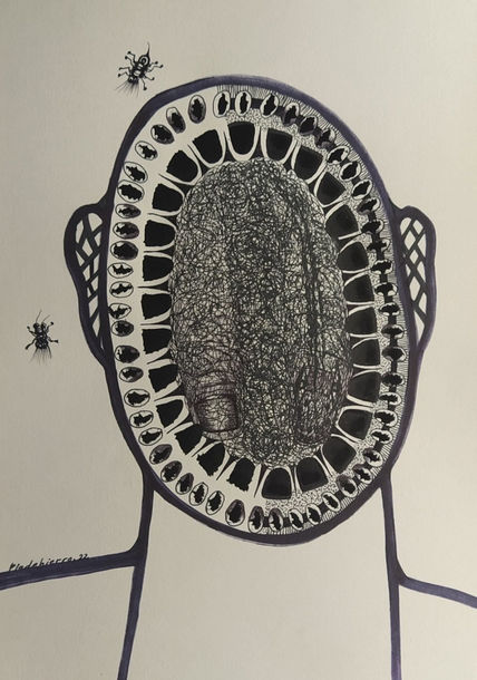 Cocodrilos 32