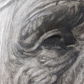 A face turned toward eternity — detalle
