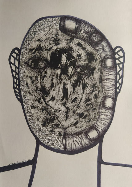 Cocodrilos 33
