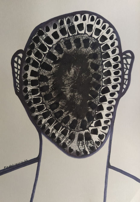 Cocodrilos 34