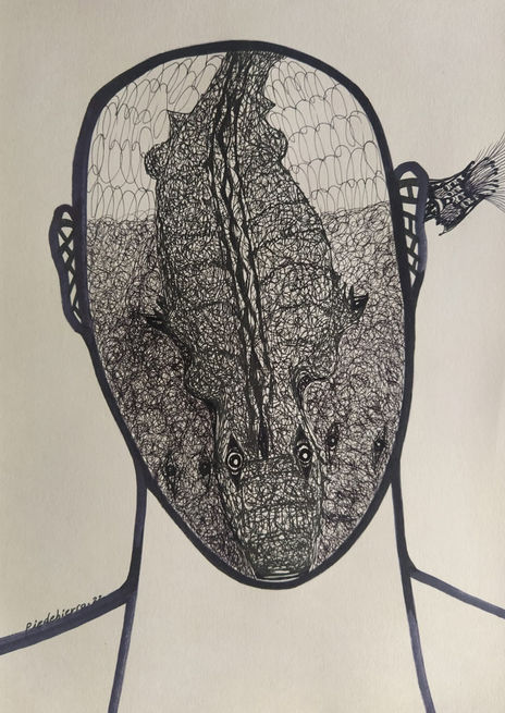 Cocodrilos 37