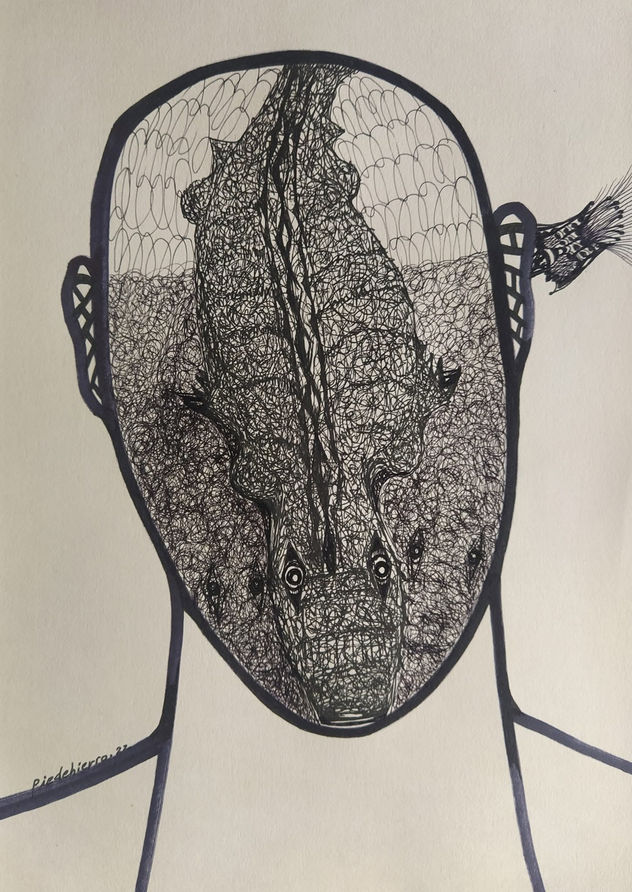 COCODRILOS 37