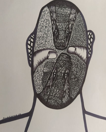 Cocodrilos 40