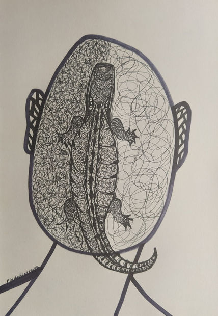 Cocodrilos 41