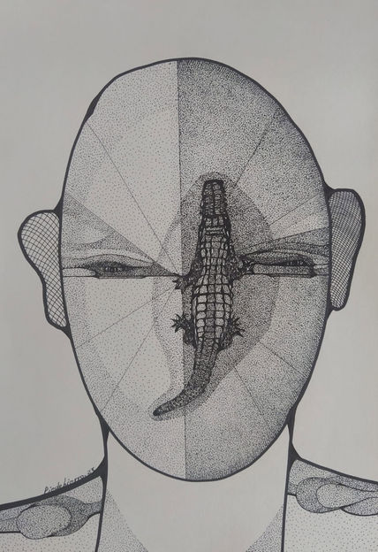 Cocodrilos 72