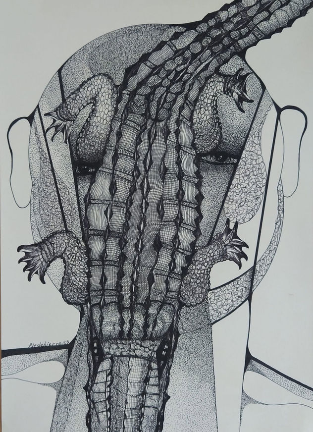 COCODRILOS 73
