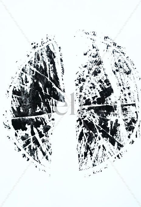 Huellas 9
