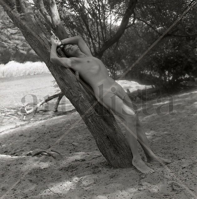 The Oasis Series: "Fusion of Man and Nature 12"
