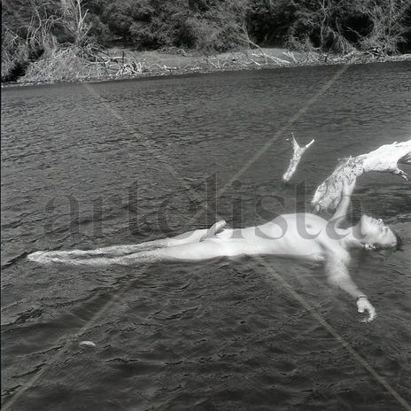 "The Oasis" Series:...