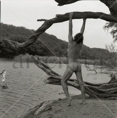 "The Oasis" Series:...