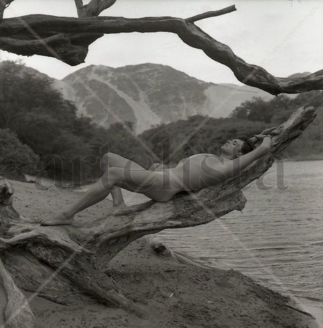 "The Oasis" Series:...