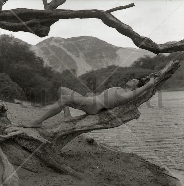 "The Oasis" Series: "Fusion of Man and Nature 13"