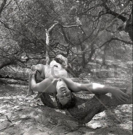 "The Oasis" Series:...
