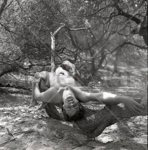 Serie El Oasis: "Fusión Hombre y Naturaleza 17"