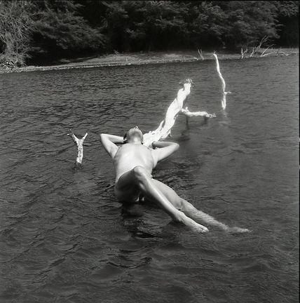 "The Oasis" Series:...