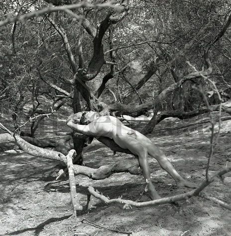 "The Oasis" Series:...