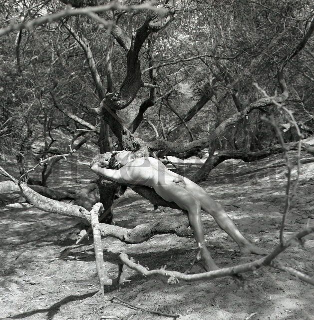 "The Oasis" Series: "Fusion of Man and Nature 14"