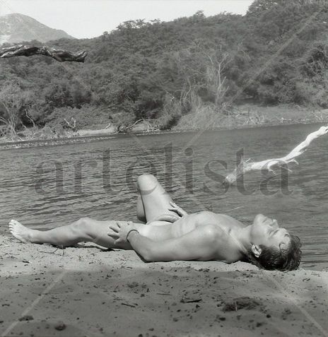 "The Oasis" Series:...