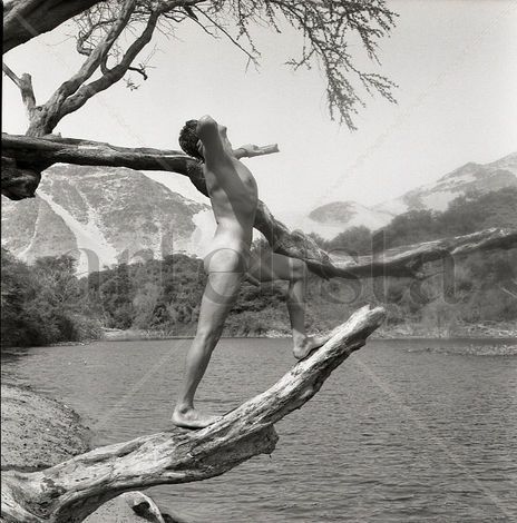 "The Oasis" Series:...