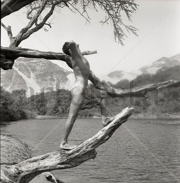 "The Oasis" Series: "Fusion of Man and Nature 22"